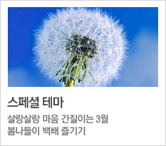 스페셜 테마