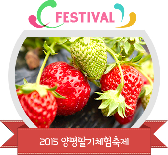 2015 양평딸기체험축제